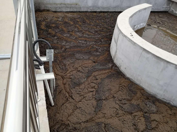 氧化溝工藝現場 氧化溝工藝現場