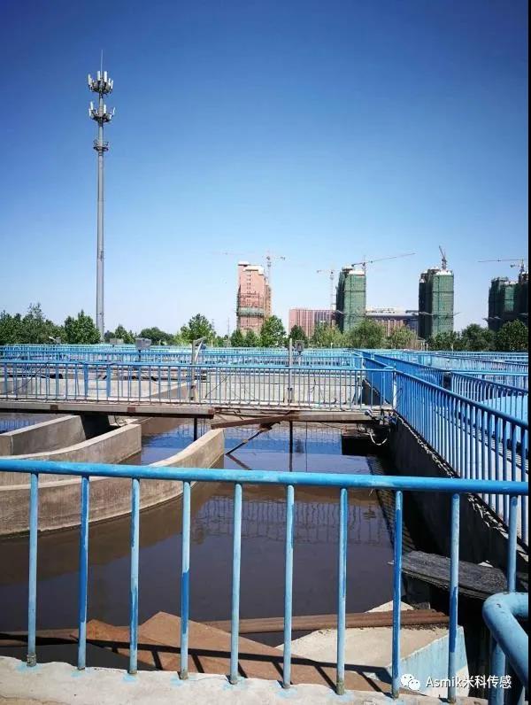 1632472537115596.jpg 2.jpg